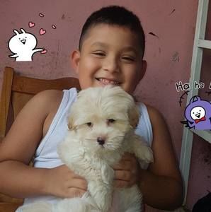 Meet your Posher, Dina iris